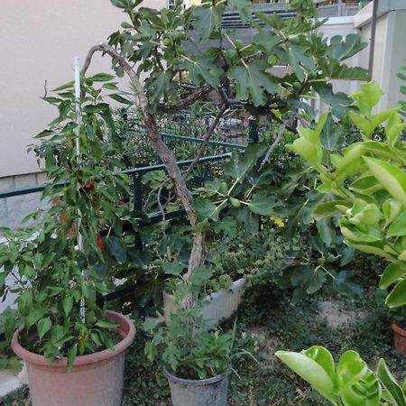 Apartman Paro 斯普利特 外观 照片